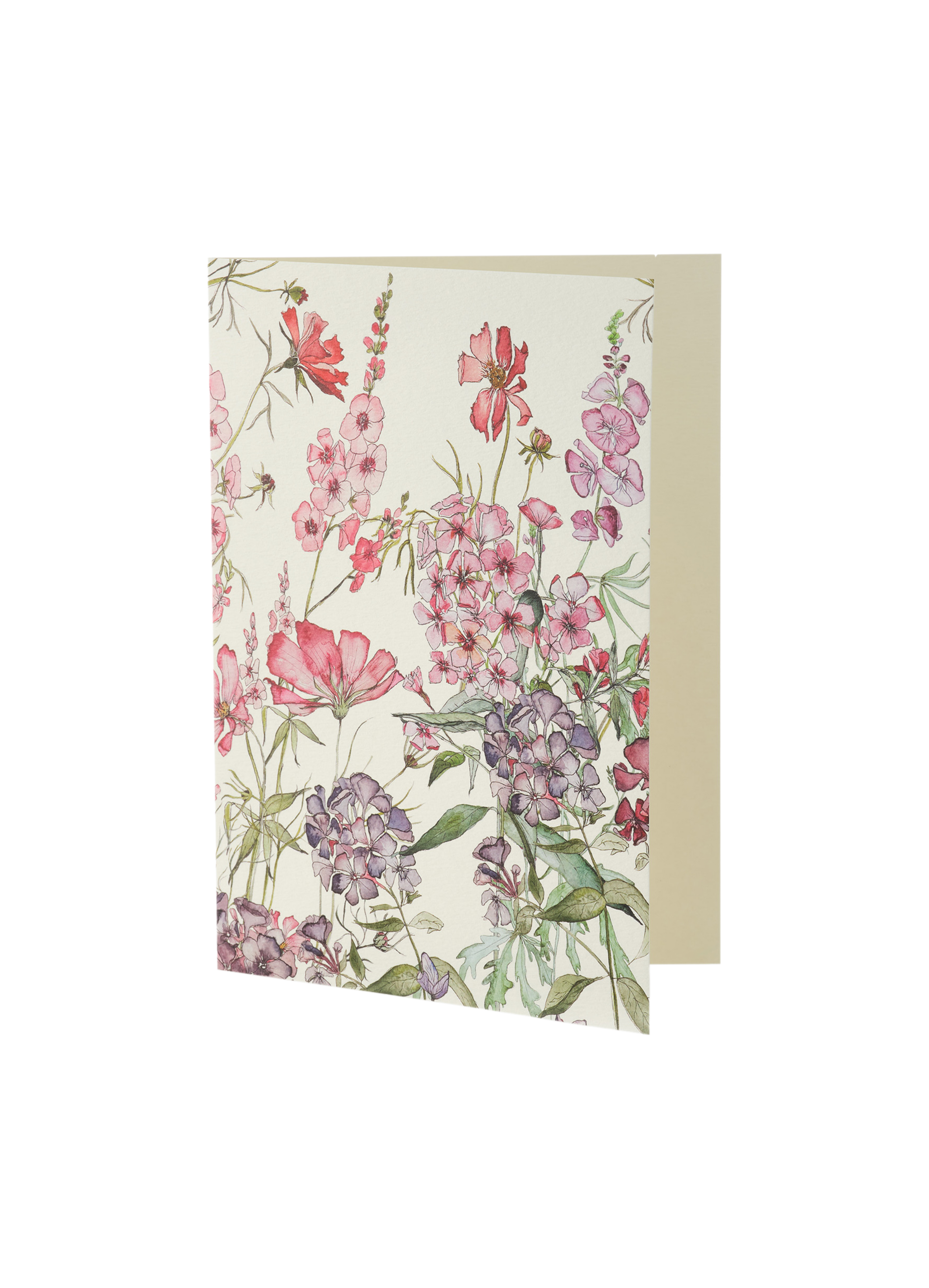 Bertioli Cutting Garden Greeting Cards