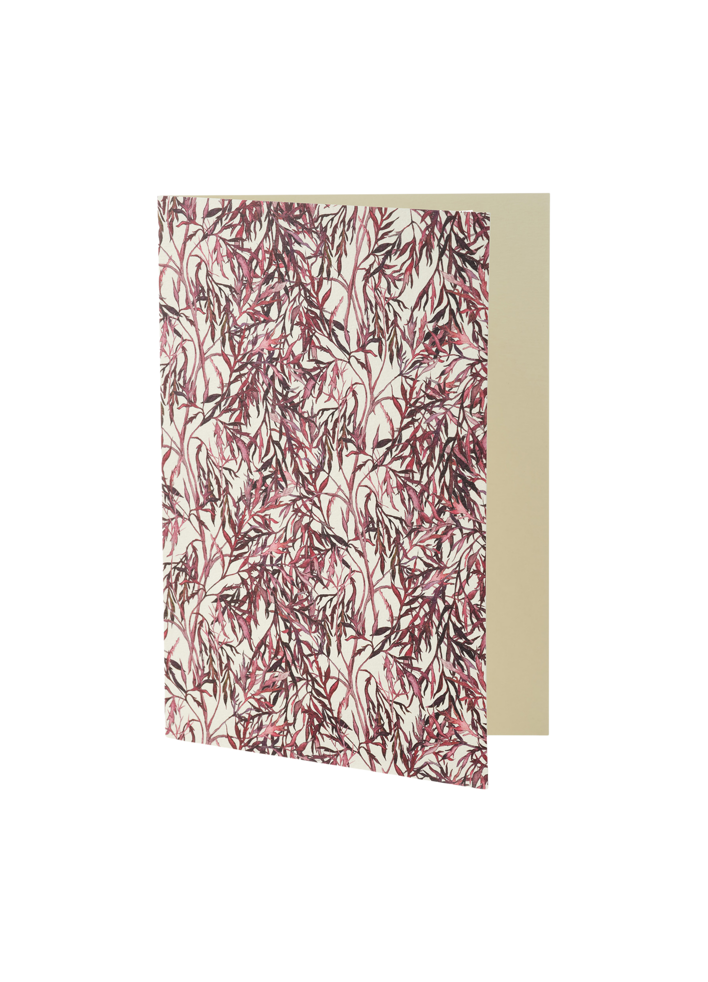 Bertioli Cutting Garden Greeting Cards