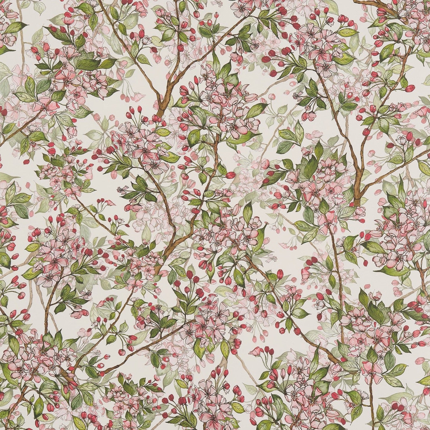 Cherry Blossom Wallpaper