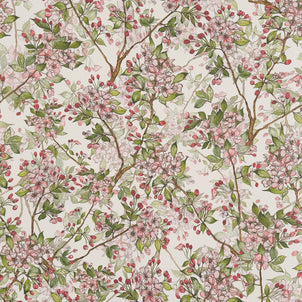 Cherry Blossom Wallpaper