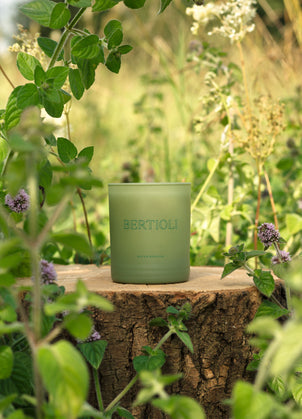 Water Meadow Single Wick Candle 145g