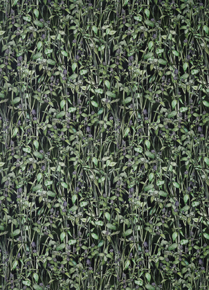 Rivermint Wrapping Paper