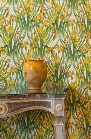 Yellow Iris Large Wallpaper Set