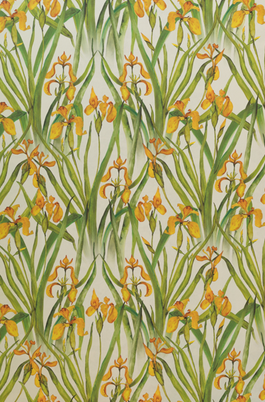 Yellow Iris Small Wallpaper