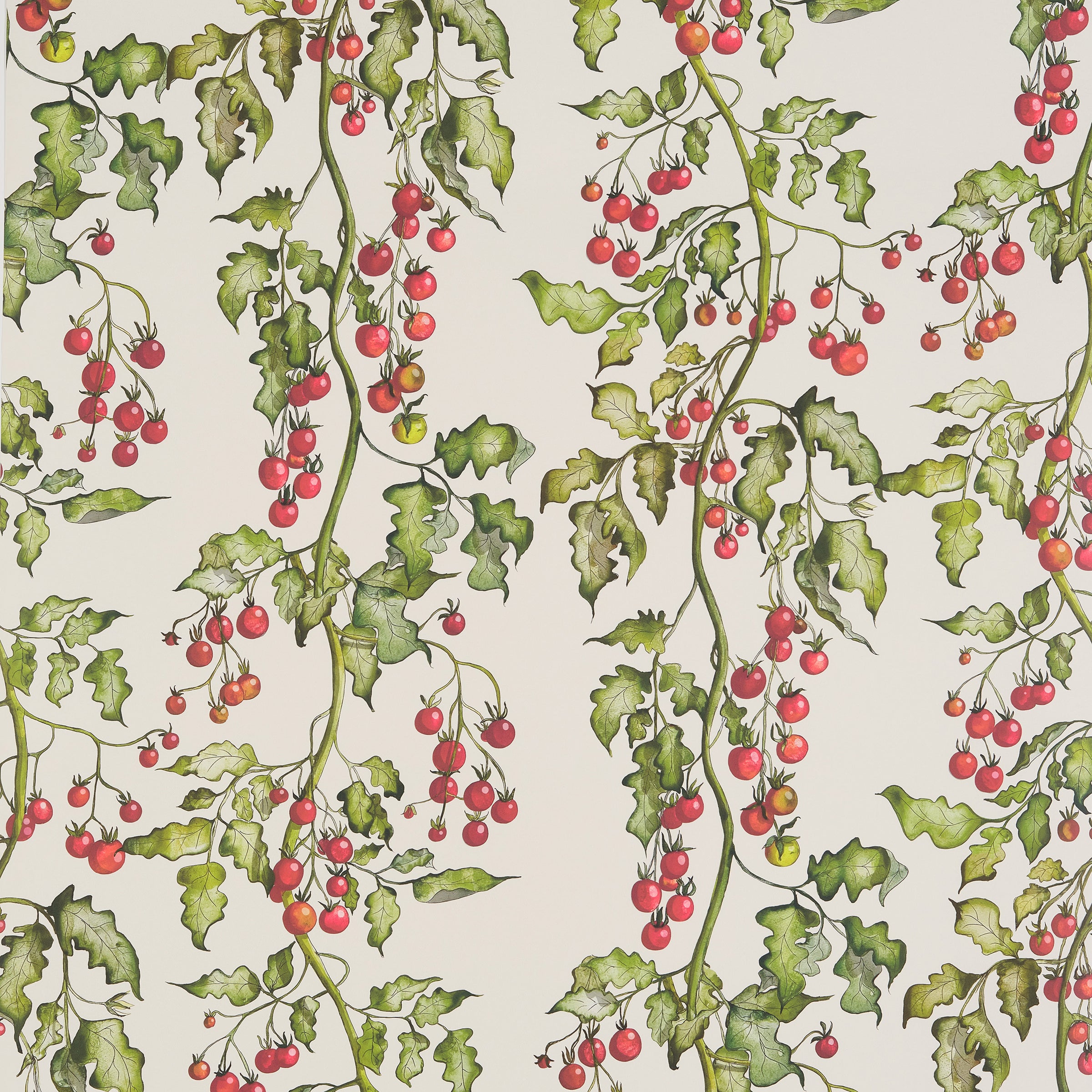 Tomato Vine Wallpaper
