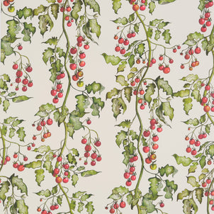 Tomato Vine Wallpaper