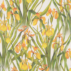Yellow Iris Large Wallpaper Set