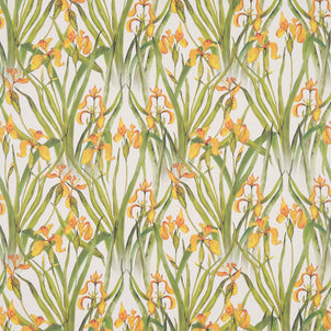 Yellow Iris Small Wallpaper